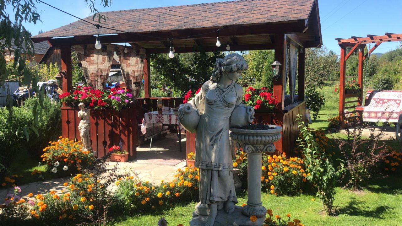 Casa Cu Pitici Pension Vama  Buitenkant foto