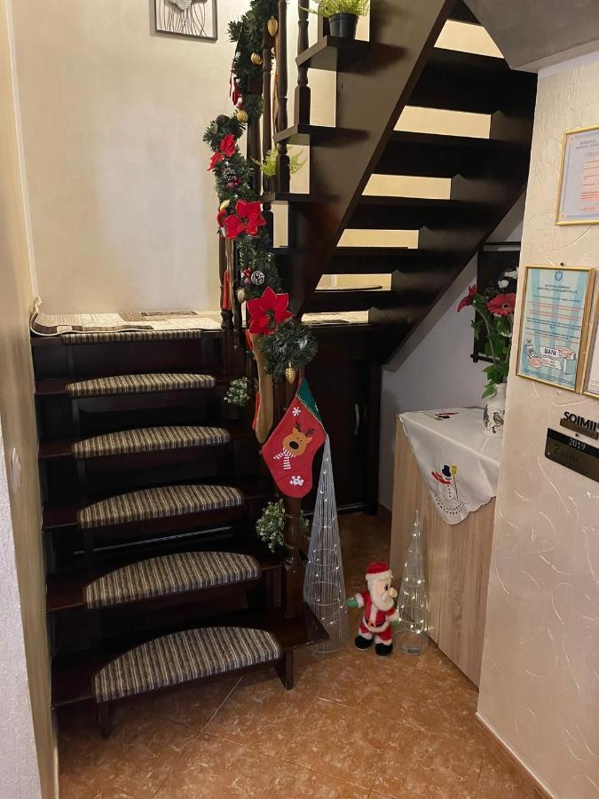 Casa Cu Pitici Pension Vama  Buitenkant foto