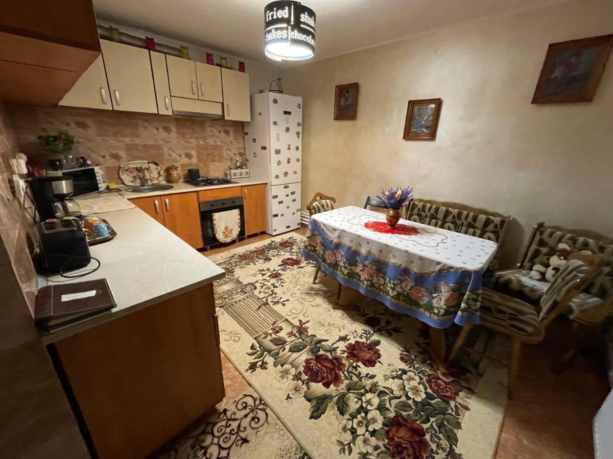 Casa Cu Pitici Pension Vama  Buitenkant foto