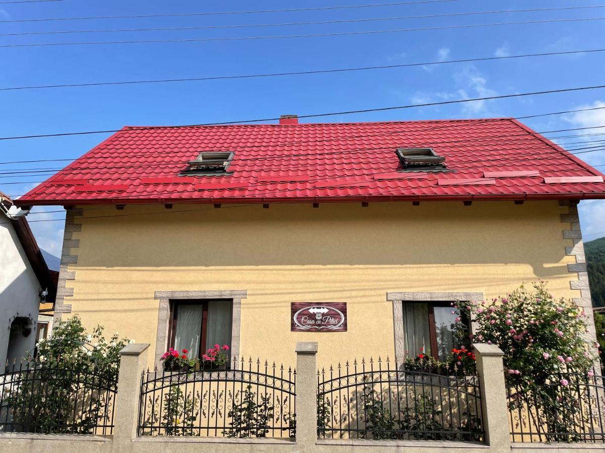 Casa Cu Pitici Pension Vama  Buitenkant foto