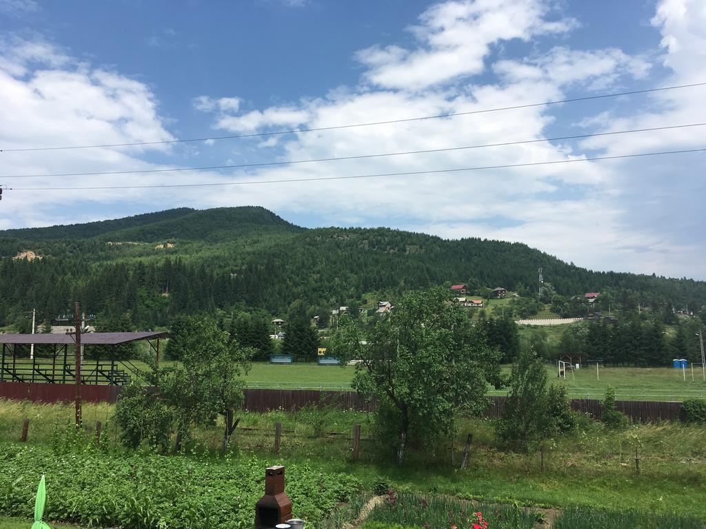 Casa Cu Pitici Pension Vama  Buitenkant foto