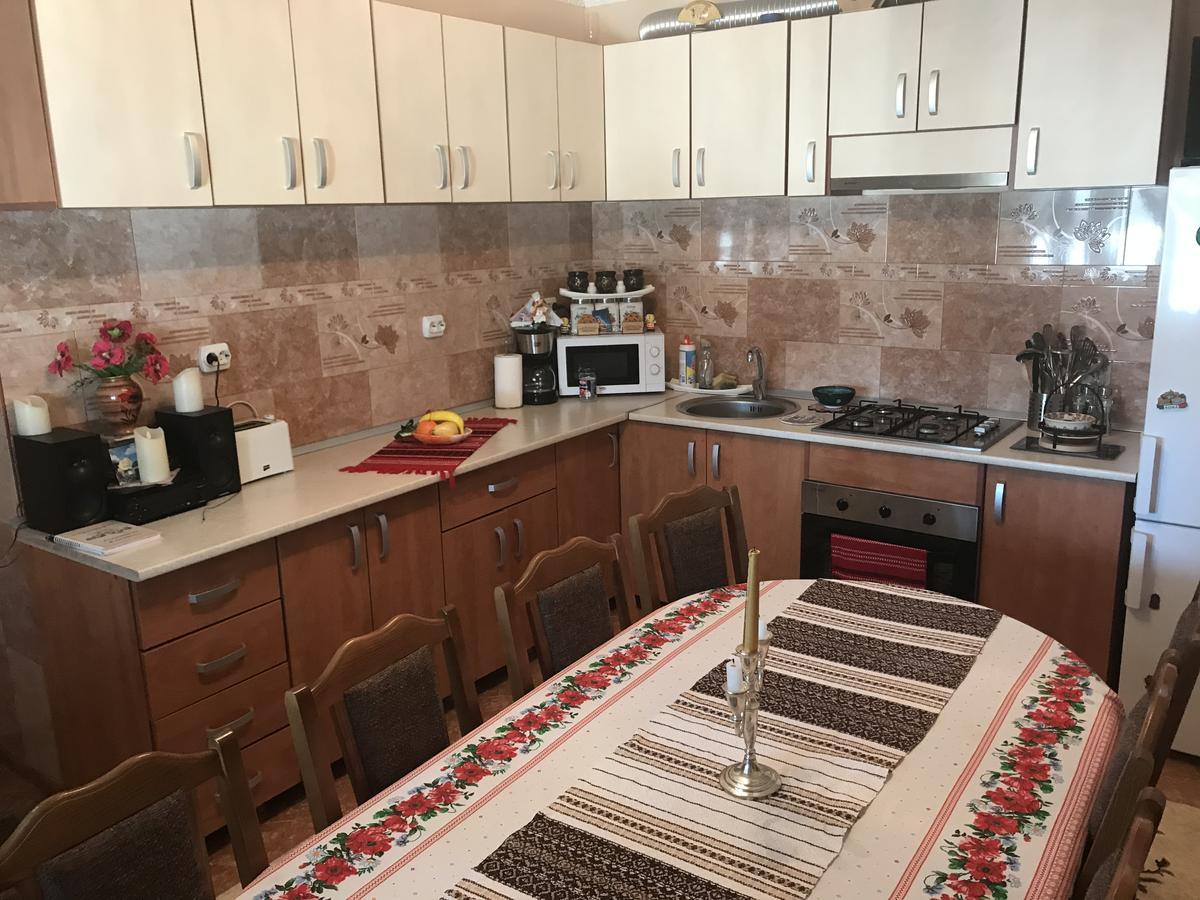 Casa Cu Pitici Pension Vama  Buitenkant foto