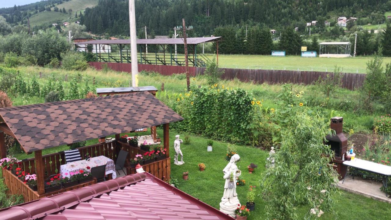 Casa Cu Pitici Pension Vama  Buitenkant foto