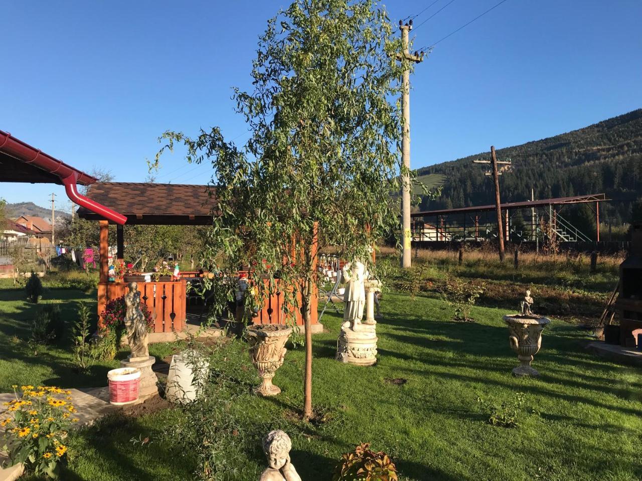 Casa Cu Pitici Pension Vama  Buitenkant foto