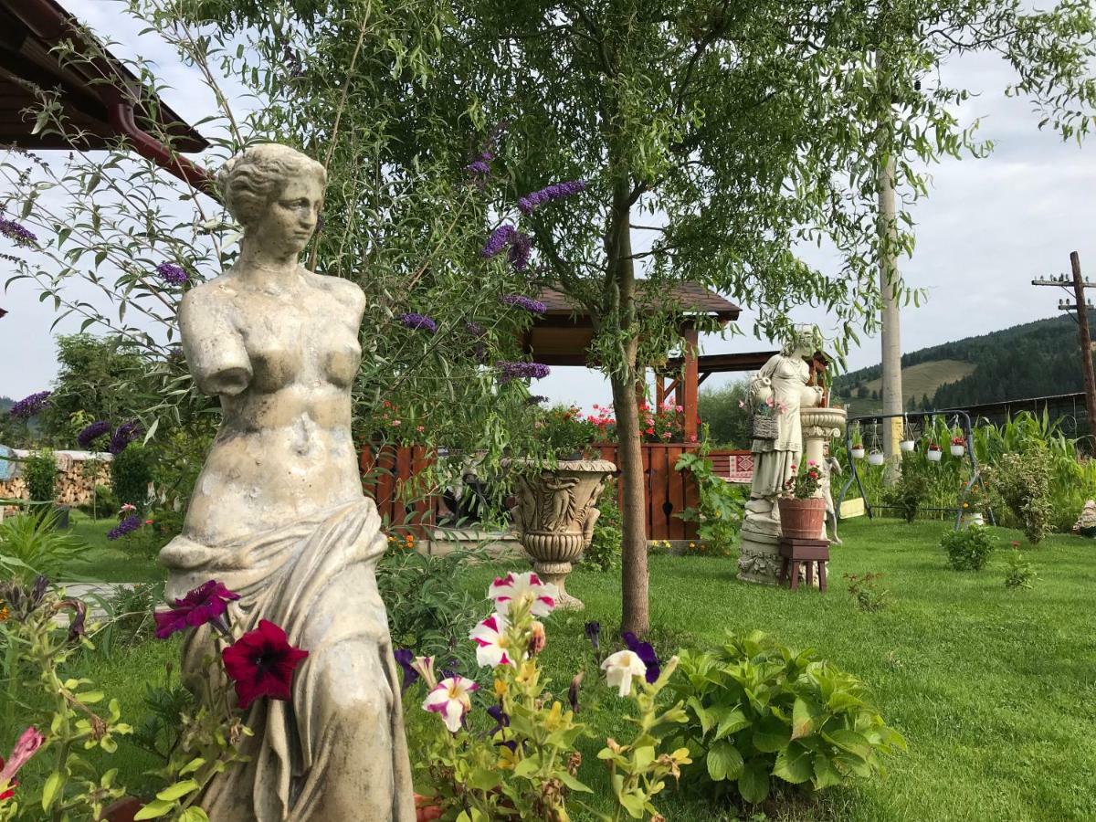 Casa Cu Pitici Pension Vama  Buitenkant foto
